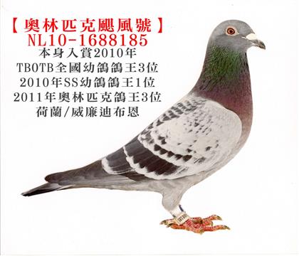 奧林匹克颶風號