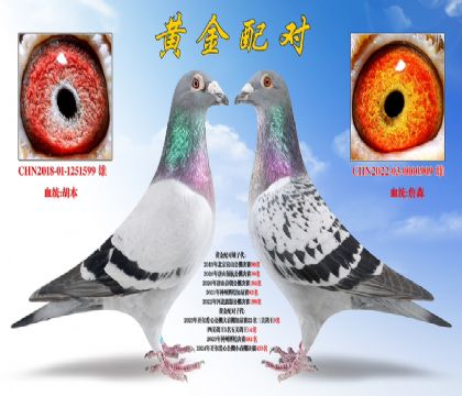S䌦xղɭ