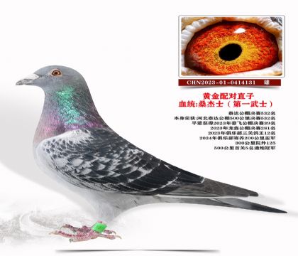 S䌦ֱӣɣʿһʿ