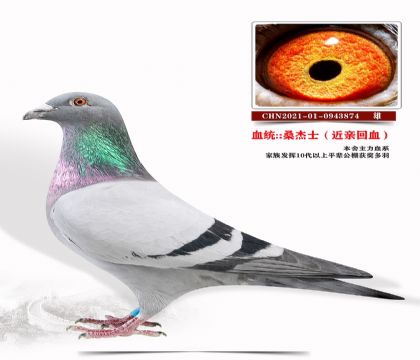 ɣʿHѪ