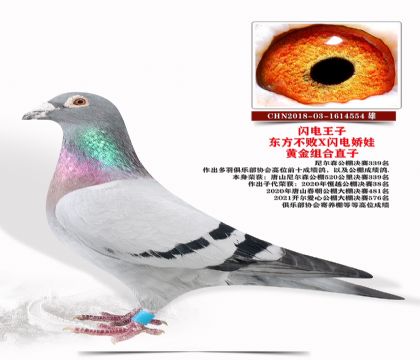 xW늋