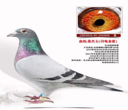 ɣʿW늽ͯ