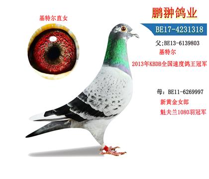 父母照片