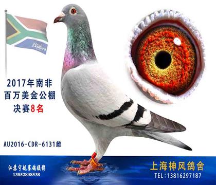 祖母