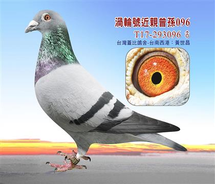 父