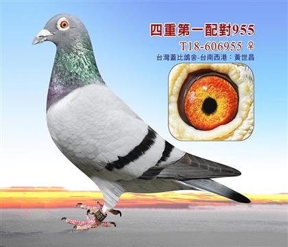 母