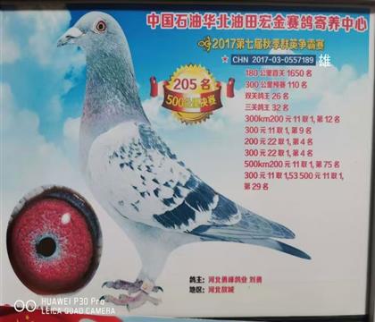 大兒子