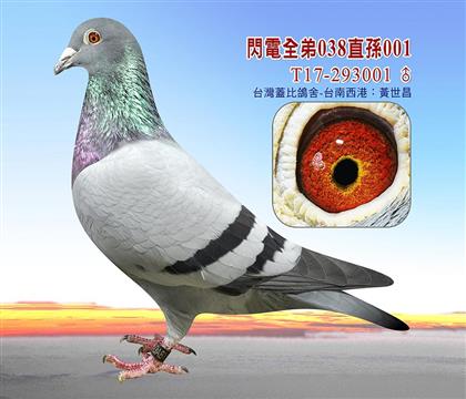 父