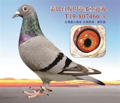 母