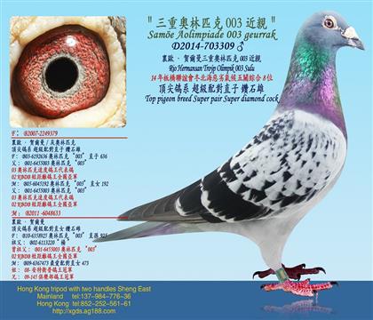 父
