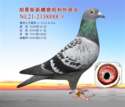 母