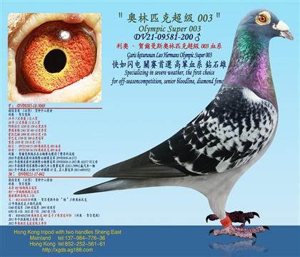 父