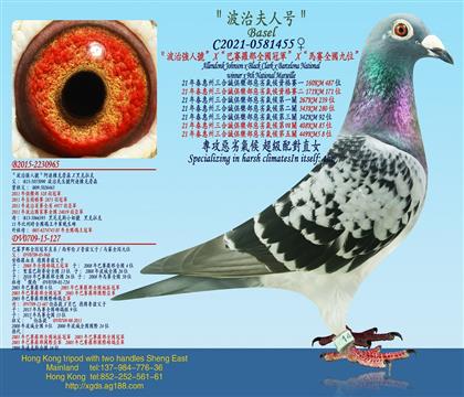 母