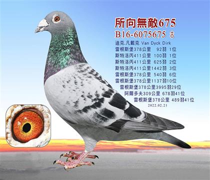 父