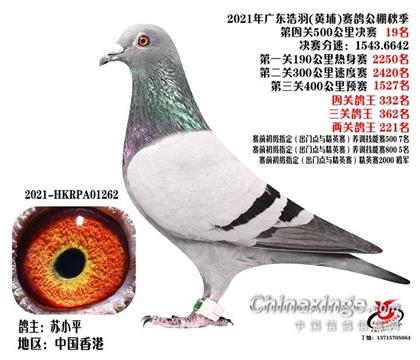 母