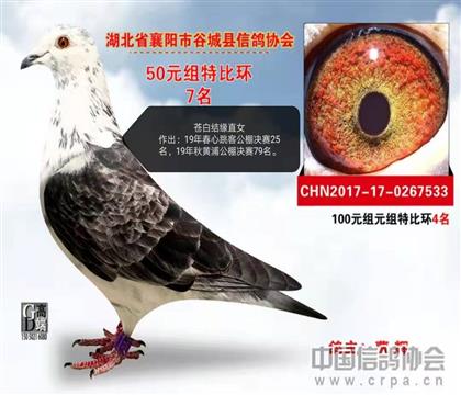 母親