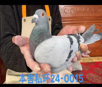 盧克西翁0015