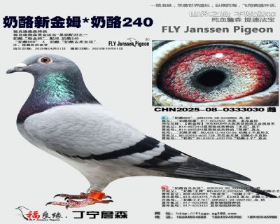 奶酪新金姆/奶酪240