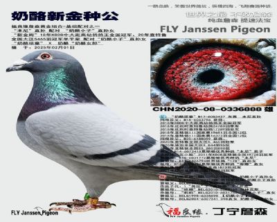 父母欣賞