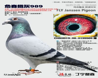 父母欣賞