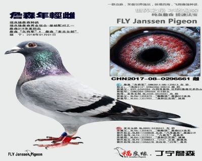 父母欣賞