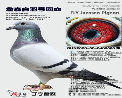 父母欣賞