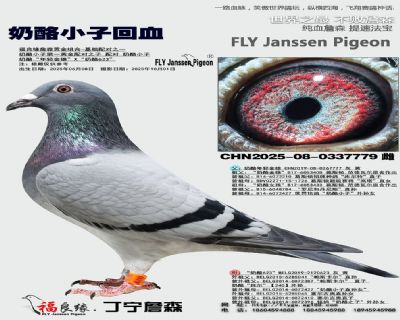 奶酪小子多重回血