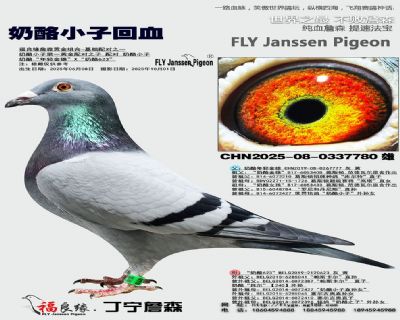 奶酪小子多重回血