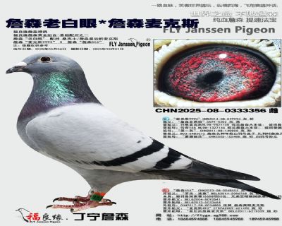 詹森老白眼/詹森麥克斯