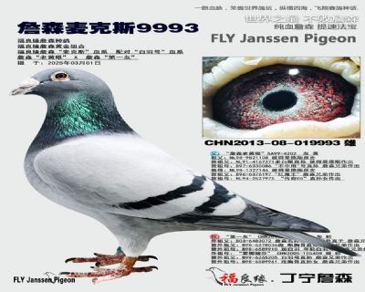 父母欣賞