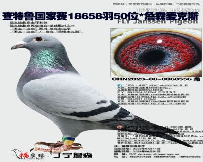 父母欣賞