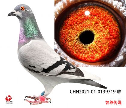 240xؙ