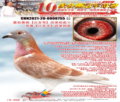 ղɭ̖(ho)HѪKSP(gun)HѪ