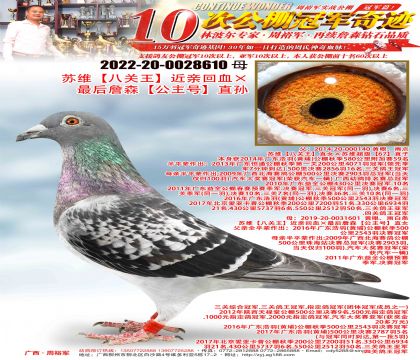 KSP(gun)HѪղɭ̖(ho)ֱO