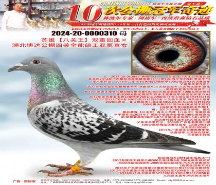 KSP(gun)pػѪ_(d)P(gun)ȫ܊ֱŮ