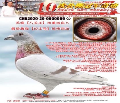 KSP(gun)pػѪղɭ̖(ho)HѪ