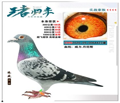 “威力.丹尼斯”  本身榮獲1000公里亞軍