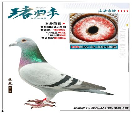本身獲得開爾國際愛心公棚518公里55名
