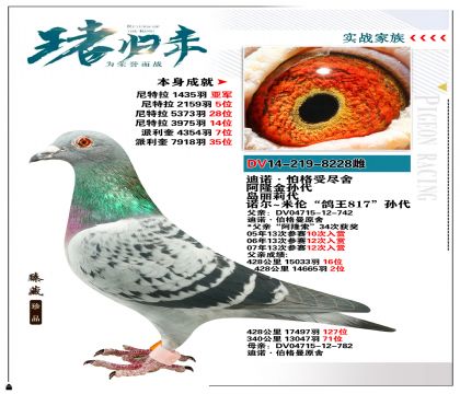 德國迪諾.伯格曼原舍  本身1435羽亞軍