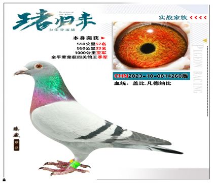 蓋比.凡得那比 本身榮獲1000公里亞軍