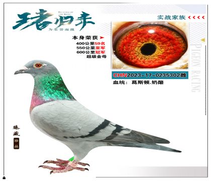 葛斯頓.奶酪  本身榮獲600公里冠軍