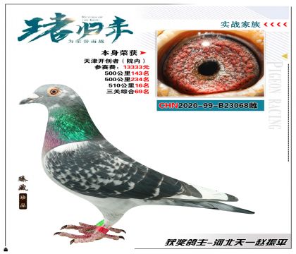 河北天一選送天津開創(chuàng) 本身成績510公里16名
