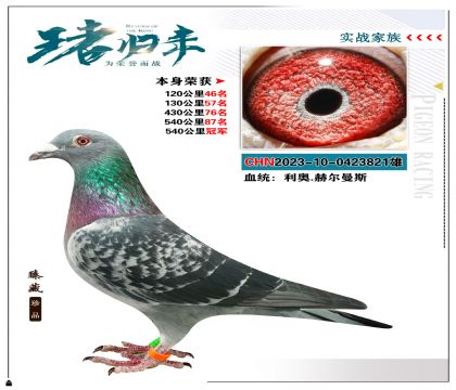 利奧.赫爾曼斯  本身榮獲540公里冠軍