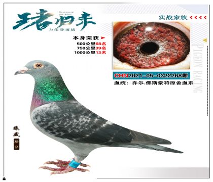 喬爾.佛斯豪特  本身榮獲1000公里13名
