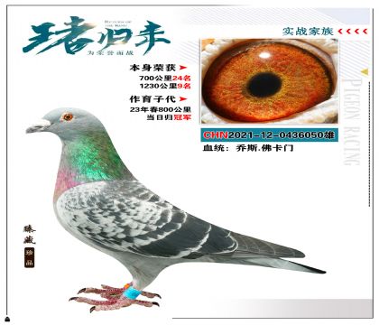 喬斯.佛卡門  本身榮獲1230公里9名