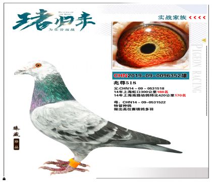 上海兆尊館作育 “兆尊518”