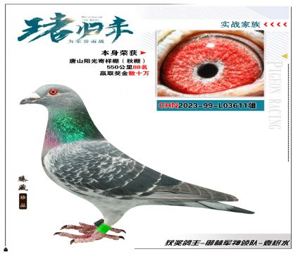 御林軍神領隊-袁樹水 送唐山陽關獲得550公里88名