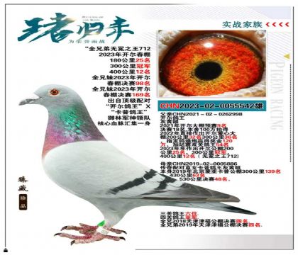 御林軍神領隊做出“開爾鴿王X卡普鴿王“