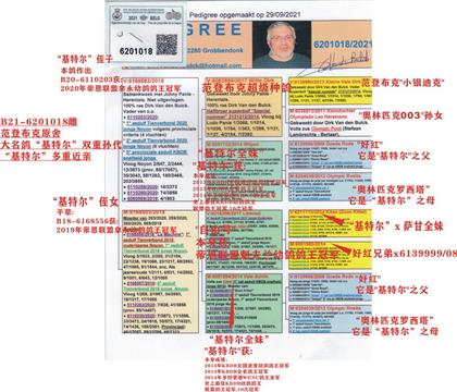 母親血統(tǒng)書