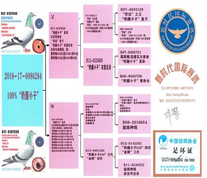 父親血統(tǒng)書